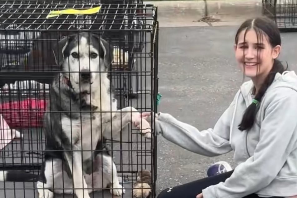 Perro que no está acostumbrado a los niños, tiene que volver al refugio dos veces: entonces se derriten corazones.
