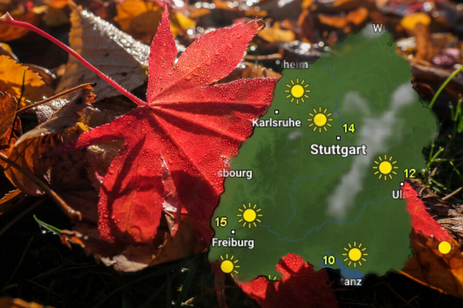 Das Wetter zeigt sich am Wochenende von seiner sonnigen Seite. (Bildmontage)
