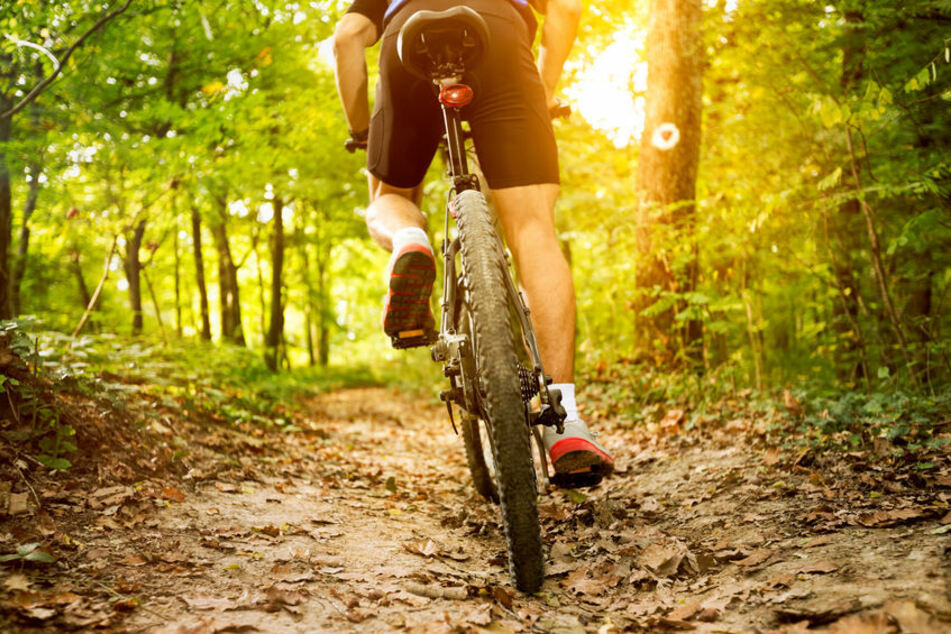 Rückansicht eines Mountainbike-Fahrers (Symbolfoto).