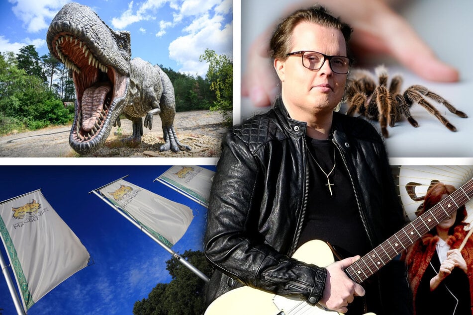 Samstag in Magdeburg: Diese Events warten auf Euch