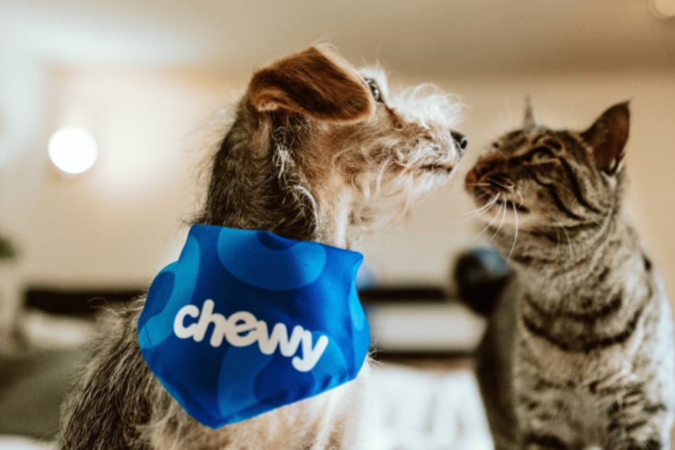Mark this Saturday, November 1 and scale up these savings at Chewy