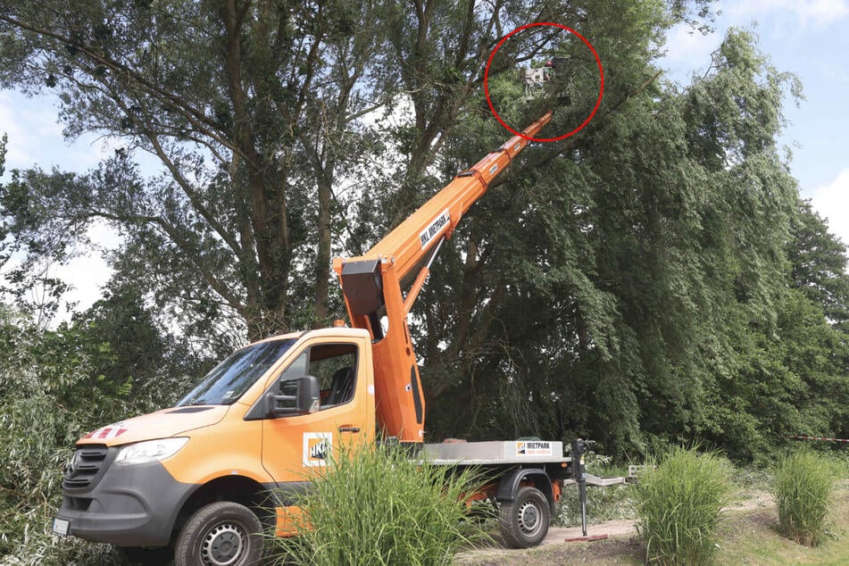 Die Frau saß mehr als zwei Stunden in einer Höhe von rund zehn Metern fest.