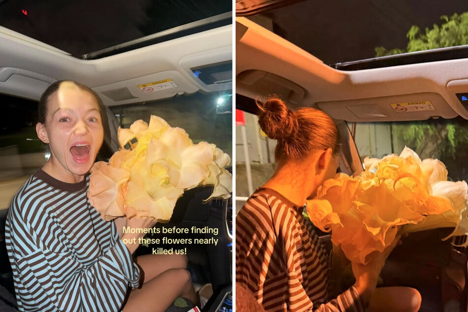 Trotz des Hautkontakts mit den Engelstrompeten erlitten die Frauen keine gesundheitlichen Schäden.