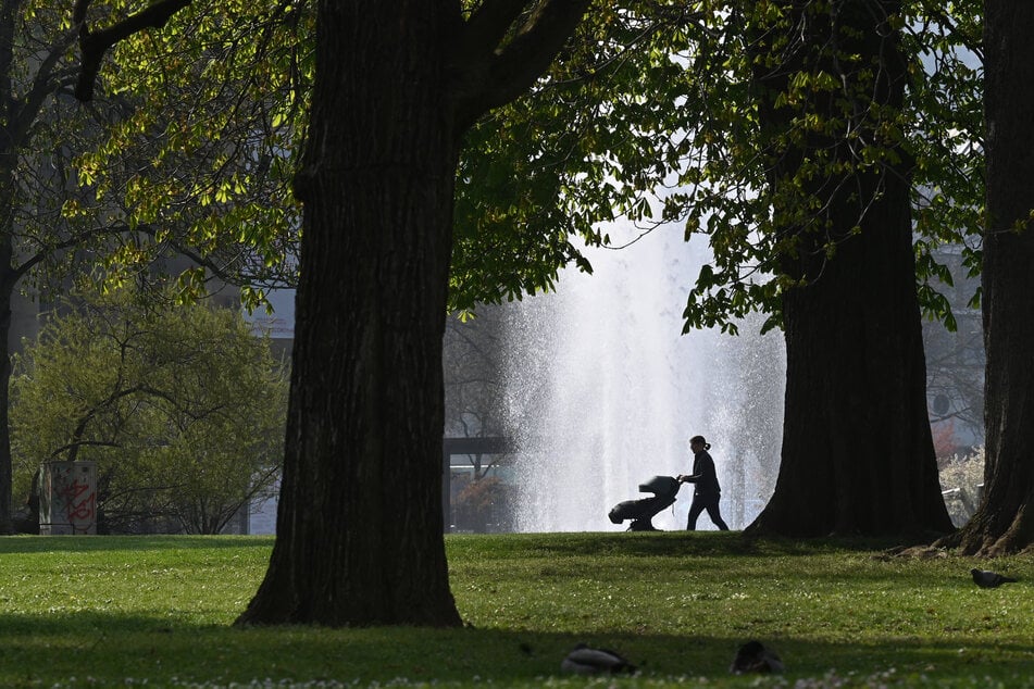 Die 28-Jährige war mit ihrem Säugling (zwei Monate) in einem Park spazieren gewesen, als es zu dem brutalen Angriff kam. (Symbolbild)