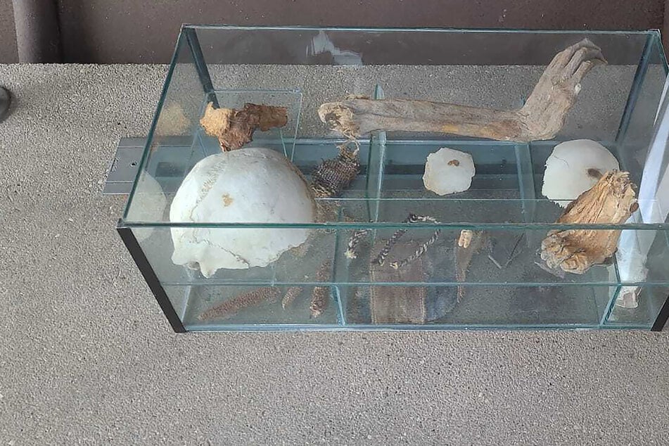 Menschliche Überreste vor Behörde abgestellt: Neue Erkenntnisse zu mysteriösem Fund