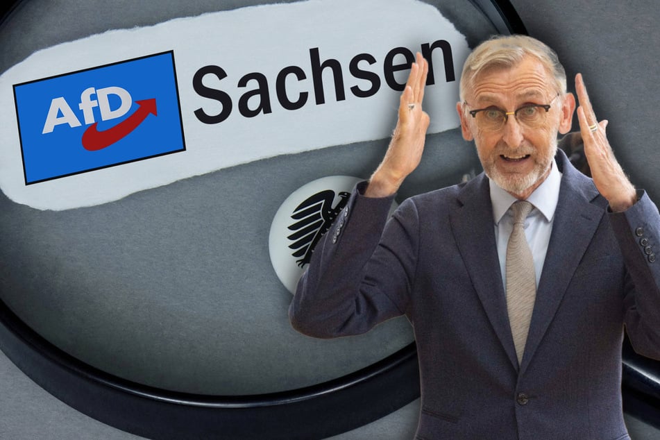 Über "Brandmauern" hinweg: Sachsens Landtag stimmt gegen AfD-Verbotsverfahren