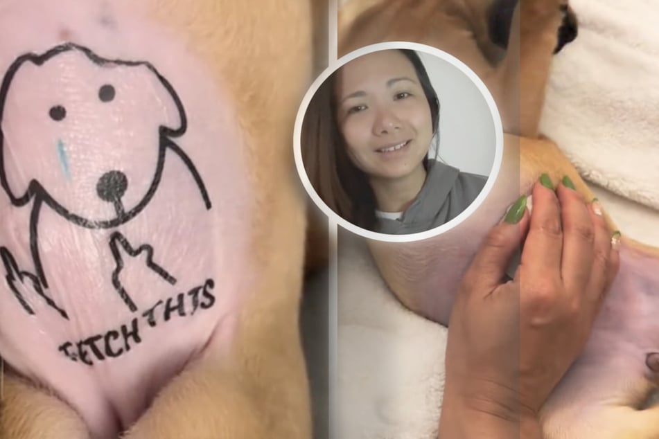 Foster dog's tattoo has horrified TikTokers screaming