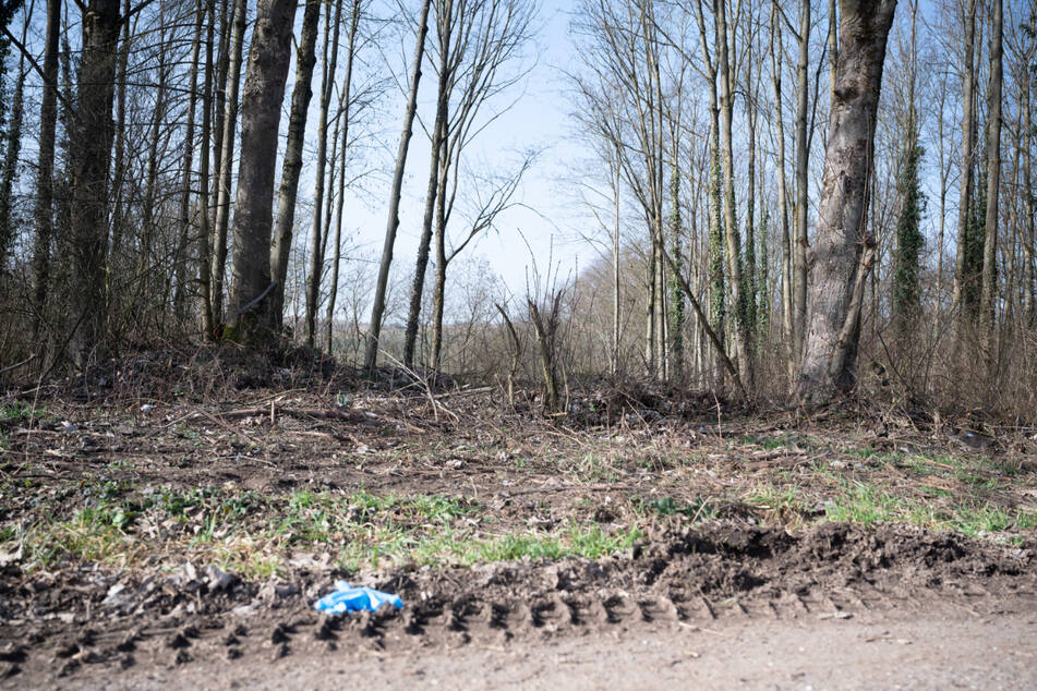 Vor tödlichen Messerstichen in Sinsheim: 14-Jähriger nahm an Anti-Aggressions-Training teil