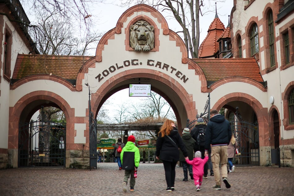 Die Streichelgehege im Zoo Leipzig bleiben vorsorglich geschlossen. (Archivbild)