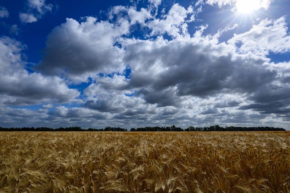 Am Montag und Dienstag sind in der Hauptstadtregion viele Wolken am Himmel zu sehen.