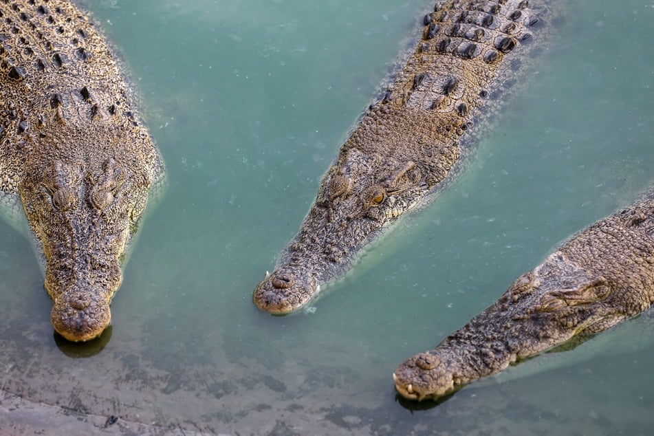 Mutter wirft eigenen Sohn Krokodilen zum Fraß vor, weil er sprachbehindert ist