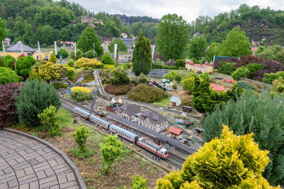 Die Anlage ist mittlerweile so groß wie ein Fußballfeld und zieht Besucher von nah und fern an.