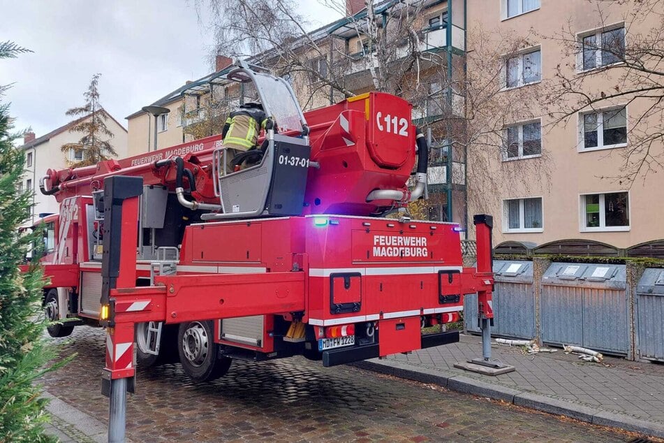 Sturmtief "Telse" fegt über Magdeburg: Bäume kippen um - und ein Pavillon