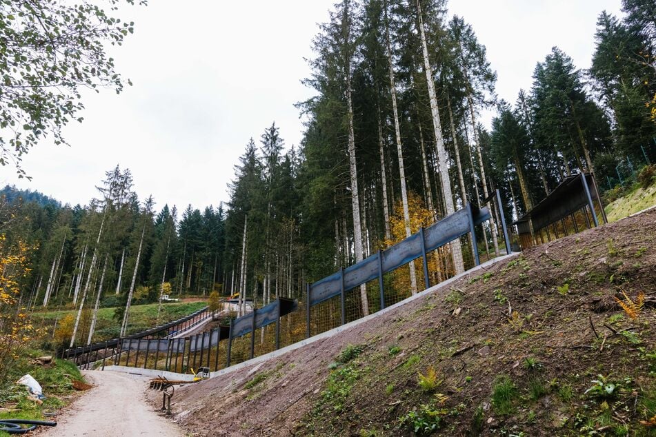 Der Rohbau im Schwarzwald steht: Dort wird derzeit ein neues Gehege gebaut, das unter anderem Bärin Gaia aus den italienischen Dolomiten beherbergen soll.