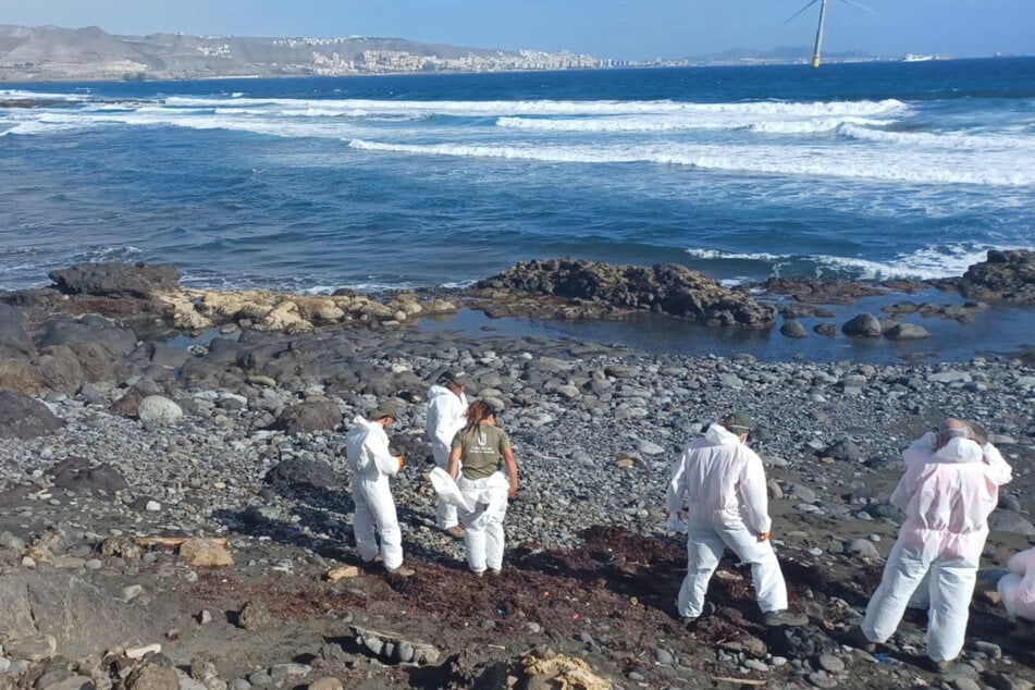 Helfer reinigen den Strand von La Restiga.