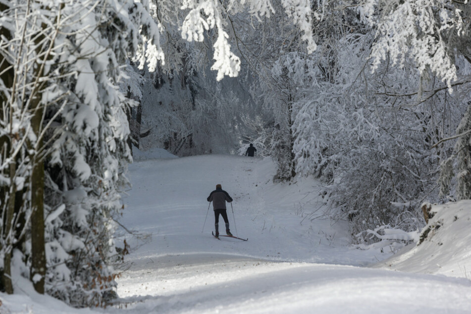 Ein Skilangläufer ist auf dem Berg Rusel im Landkreis Deggendorf im Schnee unterwegs.