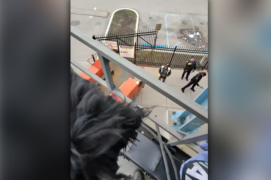 Mithilfe einer Hubarbeitsbühne gelang die Rettung schließlich.