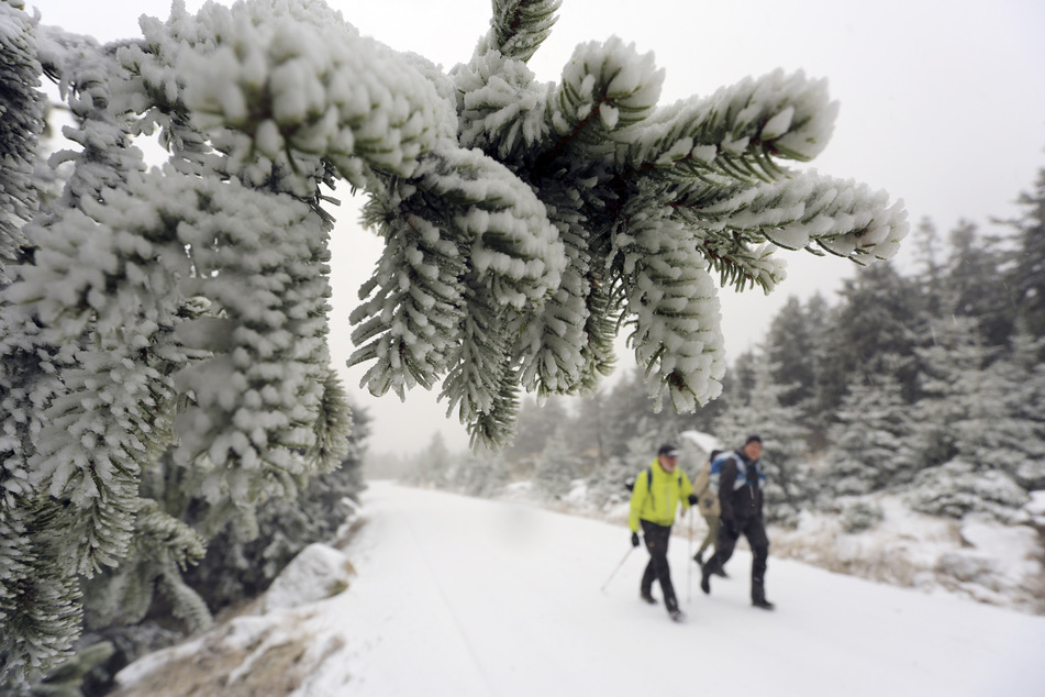 Erste Wanderer genießen die winterliche Schnee-Landschaft im Harz.