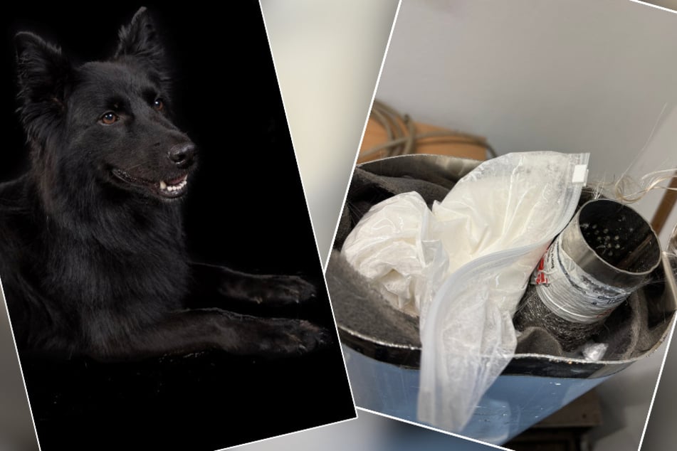 In silbernen Auspuffanlagen hatten Unbekannte die Päckchen voller Ketamin verstecken wollen.