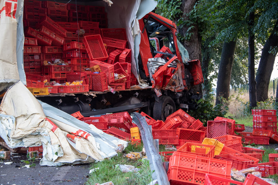 Der Lkw kam erst an einem Baum zum Halten.