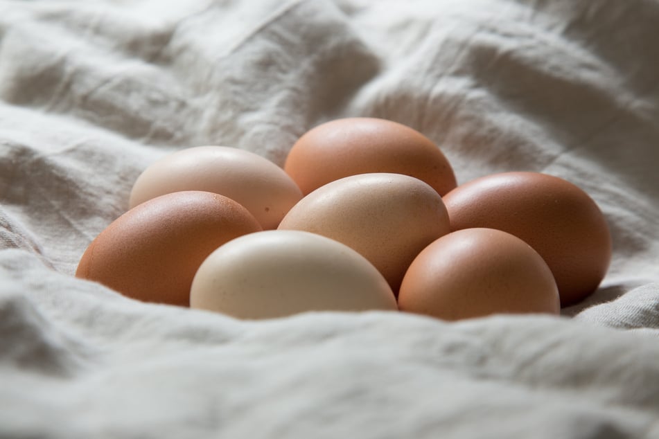 Eier fliegen auf Wohnung: Mann nur knapp verfehlt