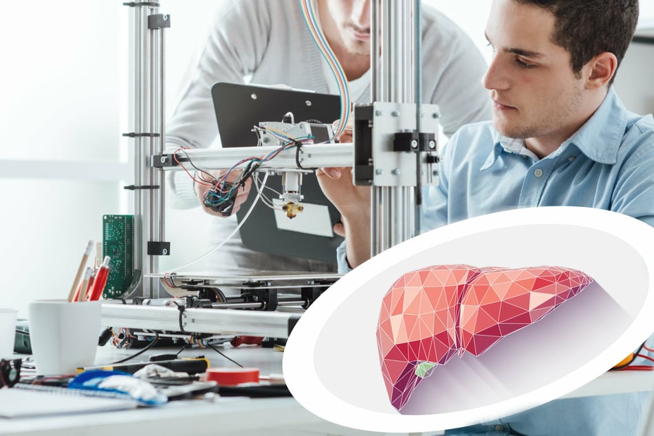 Similarly to 3D printers, bioprinting involves layering cells on top of one another, usually with gel scaffolding (stock images).