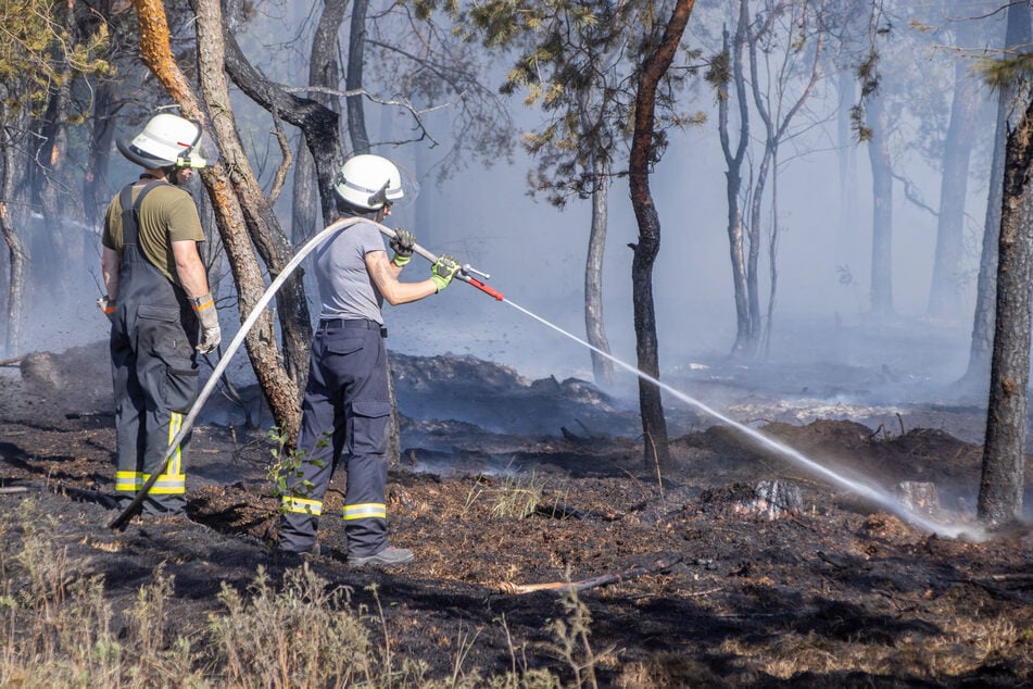 Feuerwehrleute beim Löschen des Waldbrandes in der Gohrischheide im Sommer dieses Jahres.