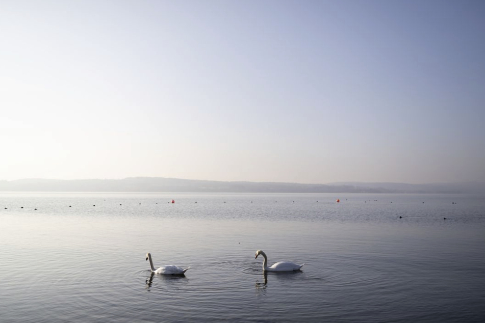 So warm war der Bodensee seit 20 Jahren nicht