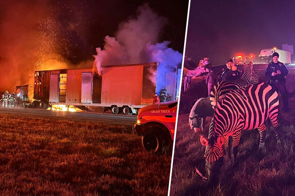 Circus animals saved from scary truck fire in wild rescue!