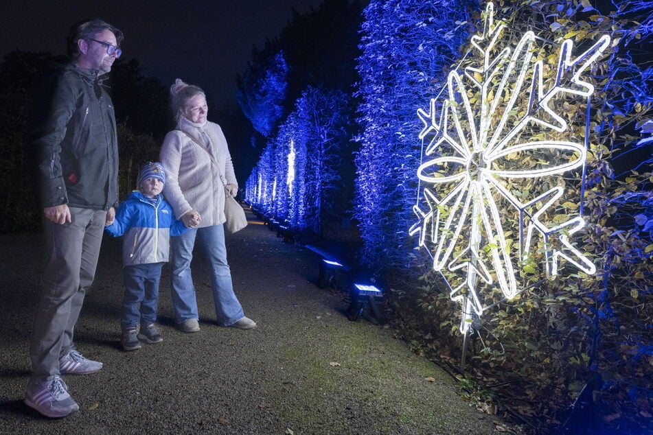 Dresden: Es ist wieder so weit: 1,5 Millionen LEDs lassen den Schlosspark Pillnitz erstrahlen!