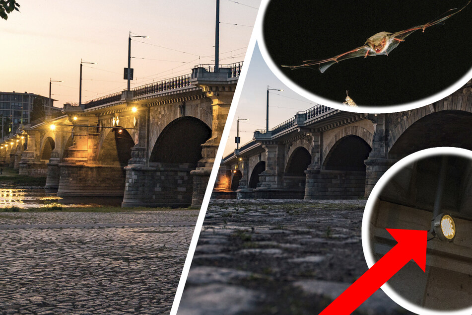 Dresden: Allabendlich an der Albertbrücke: Warum Dresden das Licht an- und ausknipst!