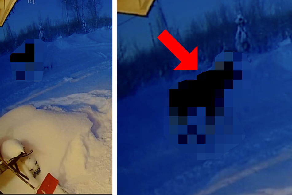 Frau kann nicht fassen, was ihre Überwachungskamera da direkt vor ihrer Haustür im Schnee filmt