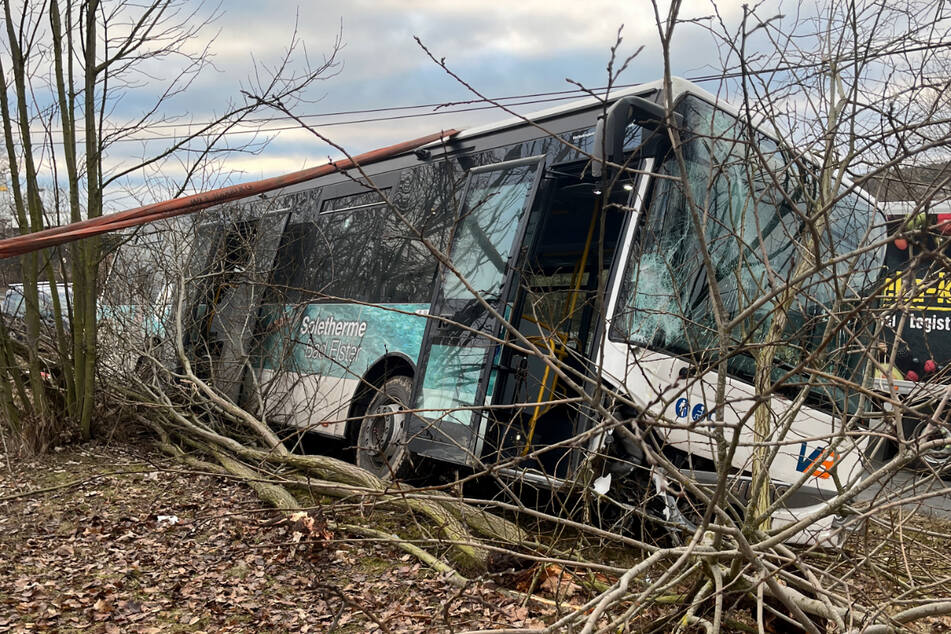 Der Bus fuhr in die Böschung und krachte gegen mehrere Bäume.