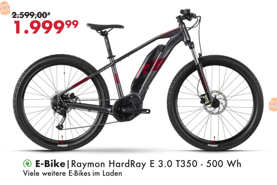 Raymon HardRay E 3.0 T350