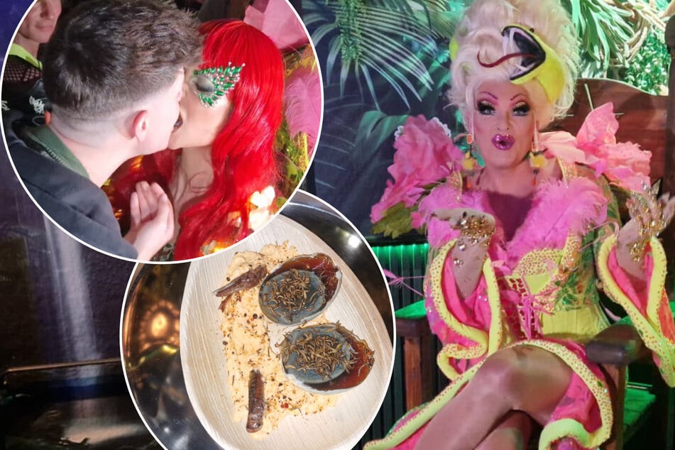 String Tanga, alte Eier und Insekten: Promis feiern Olivias Jones neue Dschungelcamp-Bar