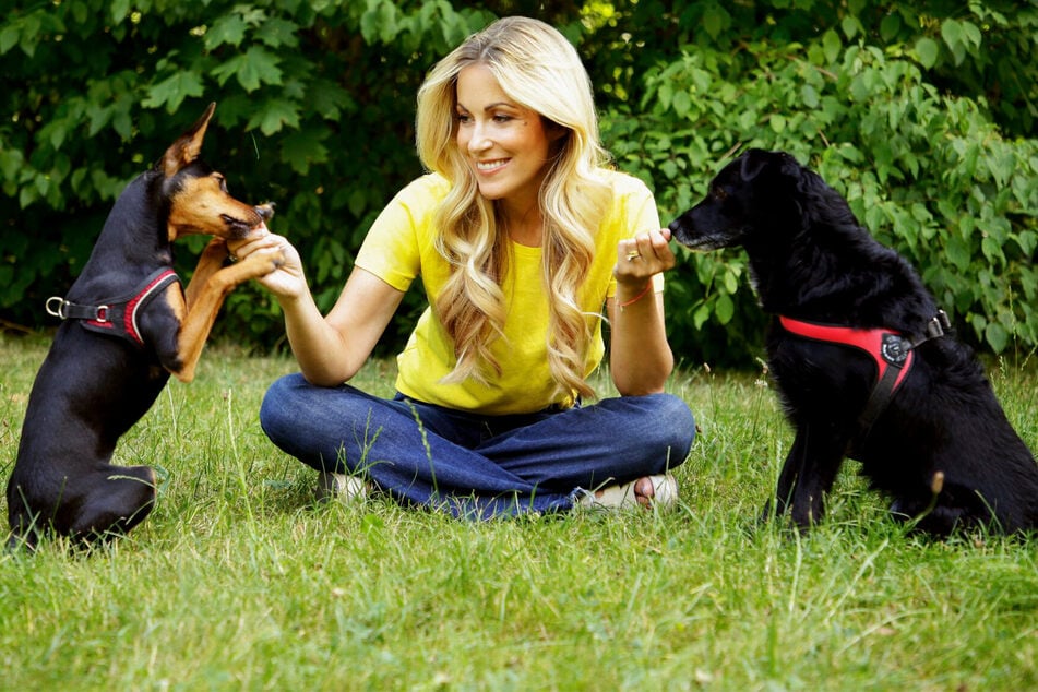 Moderatorin Andrea Kaiser (41) führt durch "Der Hundetrainer-Champion". Sie ist selbst zweifache Mutter.
