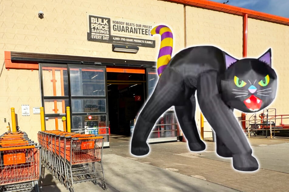 This crazy cat is causing mayhem at Home Depot on Wednesday, October 15