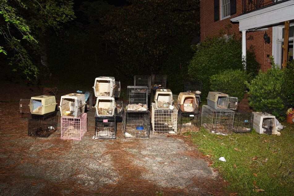 In diesen kleinen Käfigen wurden die 28 Hunde und zwei Katzen gehalten.