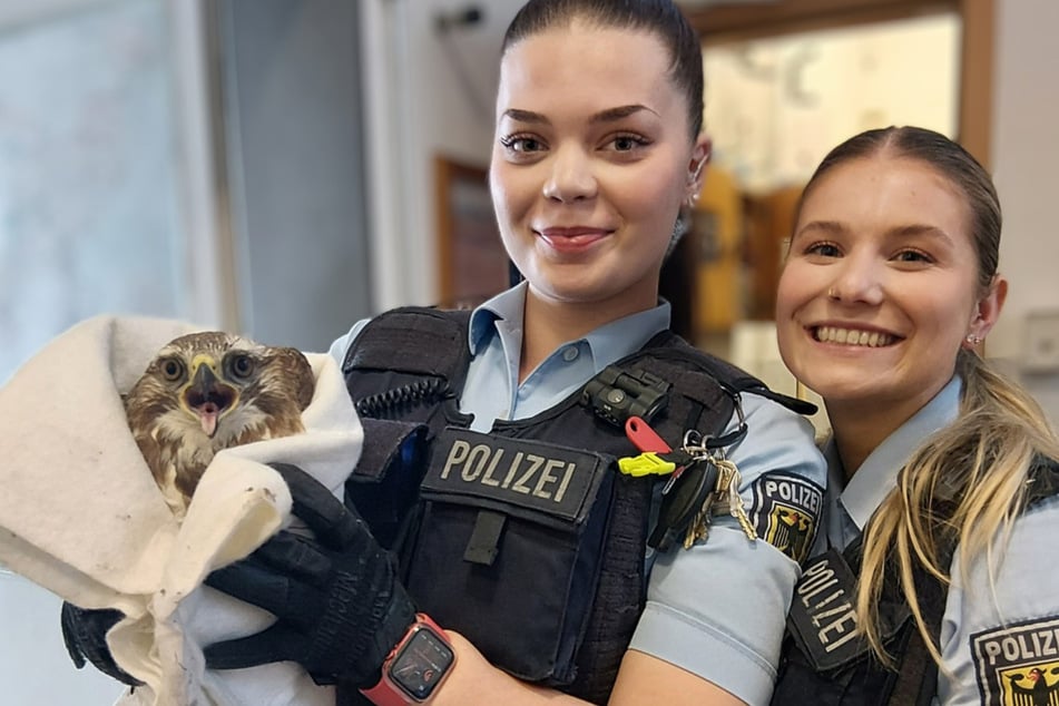 Zwei Polizistinnen retteten am Dienstag im Kieler Hauptbahnhof einen verletzten Bussard von den Gleisen.