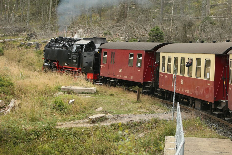 Was wird aus der Harzer Schmalspurbahn? Jetzt entscheidet der Landtag