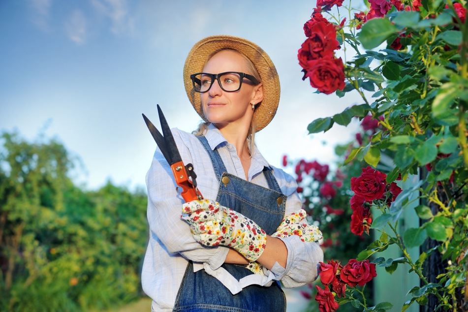 Rosenhandschuhe, Gartenschere, Sonnenhut - das Rosenschneiden ist wohl eins der Sinnbilder für Gartenarbeit.