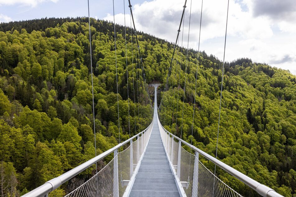 Die Hängebrücke über die Todtnauer Wasserfälle ist 450 Meter lang.