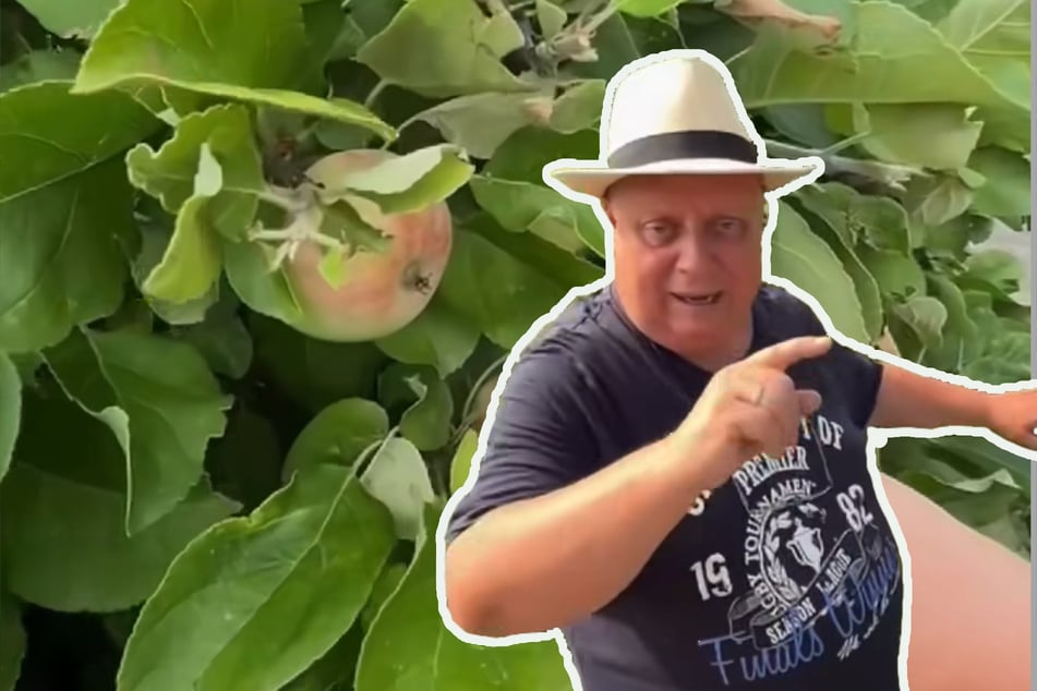 "Reden Sie mich nicht voll!" Heckenvergehen bringt den Kleingartensheriff auf die Palme