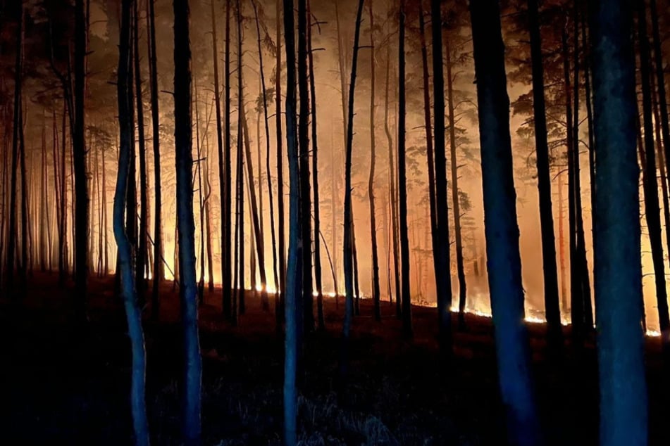 In Börnecke (Blankenburg, Landkreis Harz) kam es in der Nacht zu Montag zu einem Flächenbrand.