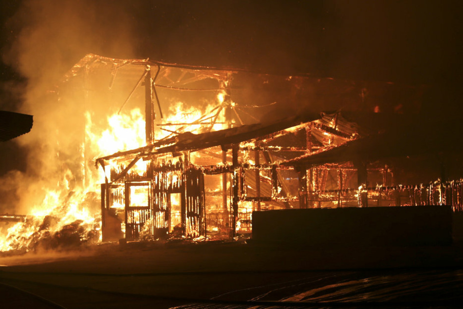 Brand auf Bauernhof: Verletzt wurde bei dem Feuer niemand.