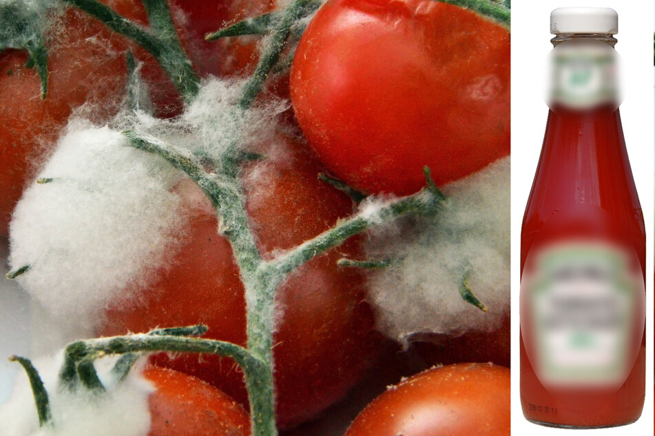 Gefahr von Schimmelpilzgift: Achtung bei diesem Tomatenketchup!