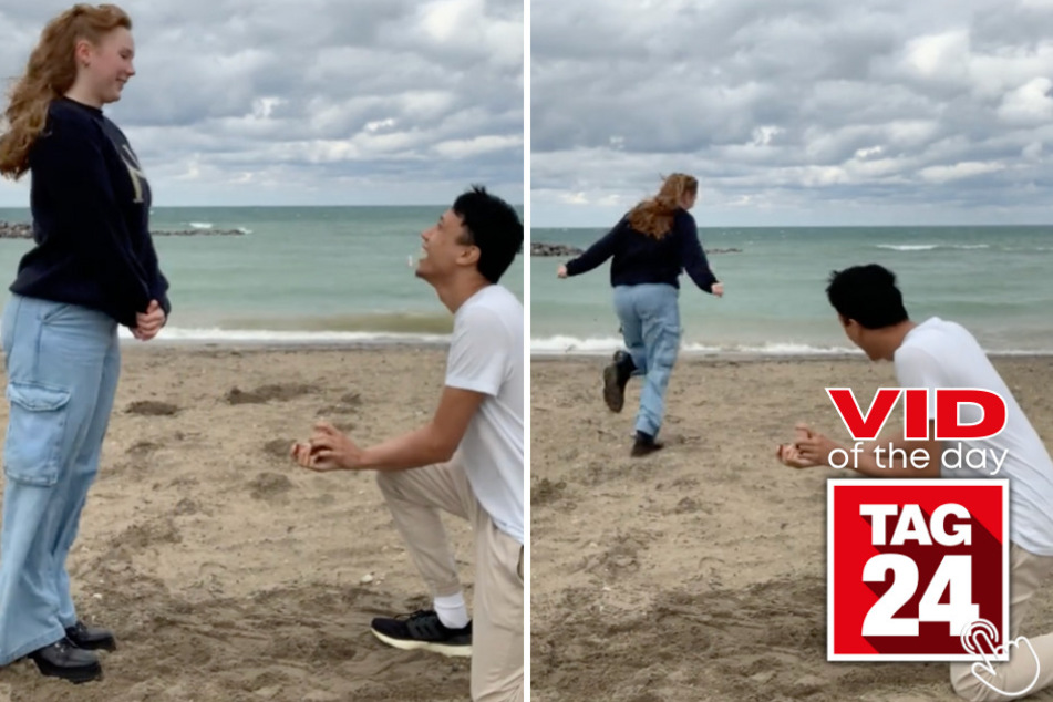 Today's Viral Video of the Day features a beach proposal with the most adorable reaction ever!