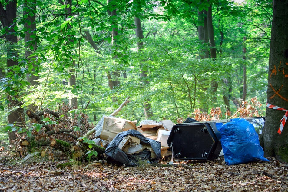 Wenn Abfall illegal auf einem frei zugänglichen Grund entsorgt wird, muss der Eigentümer ihn nicht beseitigen. (Symbolfoto)