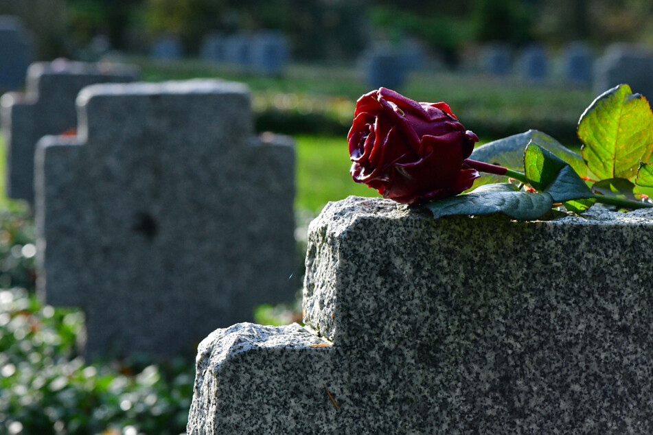 Eine Rose liegt auf einem Grabstein auf dem Friedhof in Apolda.
