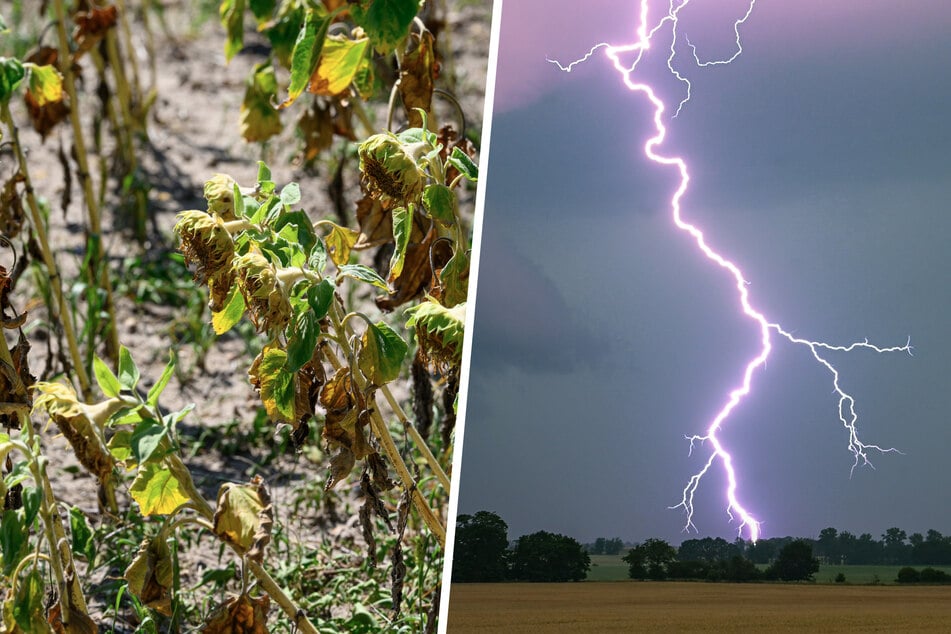 Brutale Hitze hat vorerst ein Ende, Abkühlung ist in Sicht - allerdings auch Unwetter!